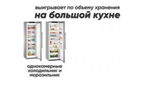 ЛУЧШИЙ однокамерный холодильник для БОЛЬШОЙ КУХНИ - LIEBHERR - немецкое качество | Мебельдан