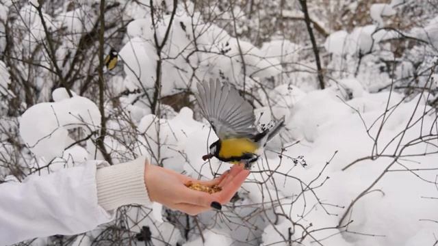 Лечебная музыка для сердца и сосудов ? Музыка для глубокого сна и расслабления для души смотреть онлайн