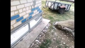 Зашил цоколь ? профлистом