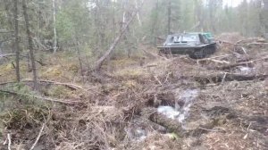 Газ 71 в деле