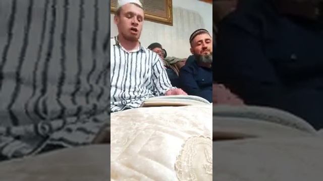 турчи