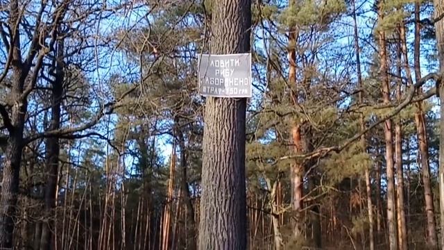 Маёвка в декабре) смотреть онлайн