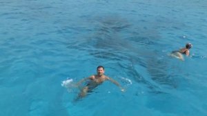 Снорклинг на острове Кайо Ларго, Куба