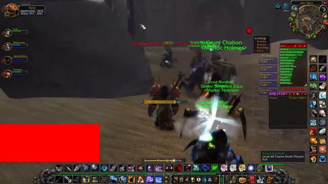 Raiding with Hate and Murlocs on The Rebirth