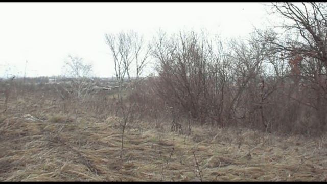 Фортуна м 3 ЗИМНИЙ ВЫХОД ПО МОНЕТАМ № 163 смотреть онлайн