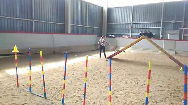 Аничина Мария и той терьер Буся смотреть онлайн