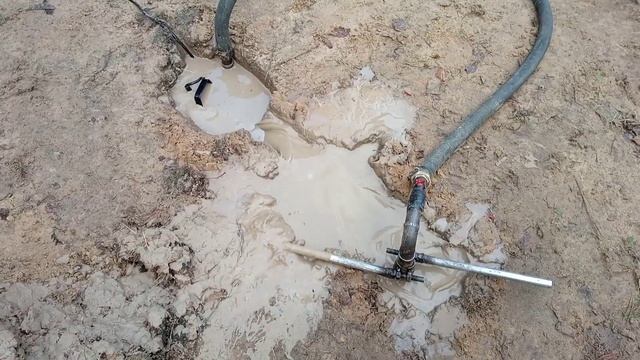 НЕПРОСТАЯ АБИССИНКА/ИЩЕМ ХОРОШУЮ ВОДУ/АРХИВ СЕЗОНОВ 2021-2022/4 РОЛИКА В ОДНОМ ВИДЕО. смотреть онлайн