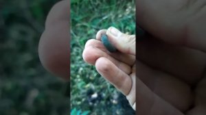 Добиваю старое место. Коп с Квазар Ф3 (Quasar F3) 2022 год.