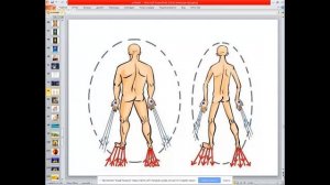 Чакры и каналы | Работа с биоэнергетикой | Медитация | Евгений Джим - Чакры ТВ