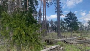 Голубые озера в Луховицах. Ночуем с кемпером