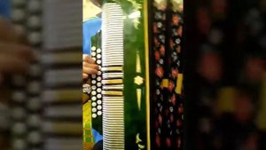 За тебя калым отдам на гармони.