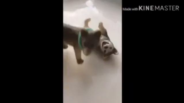 Когда наступили на ногу 7 типов смотреть онлайн