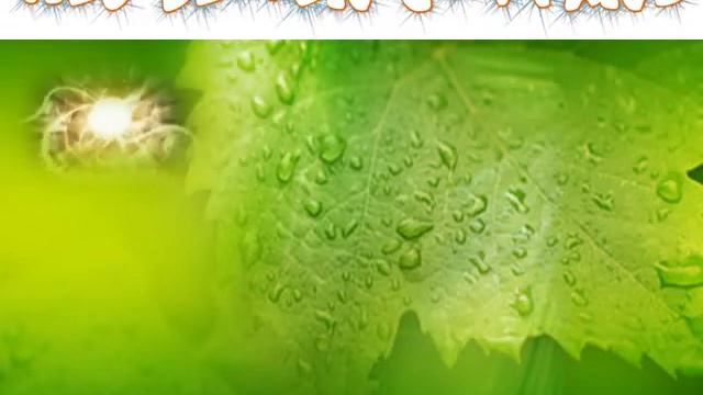 PHP web development firm jaipur India смотреть онлайн