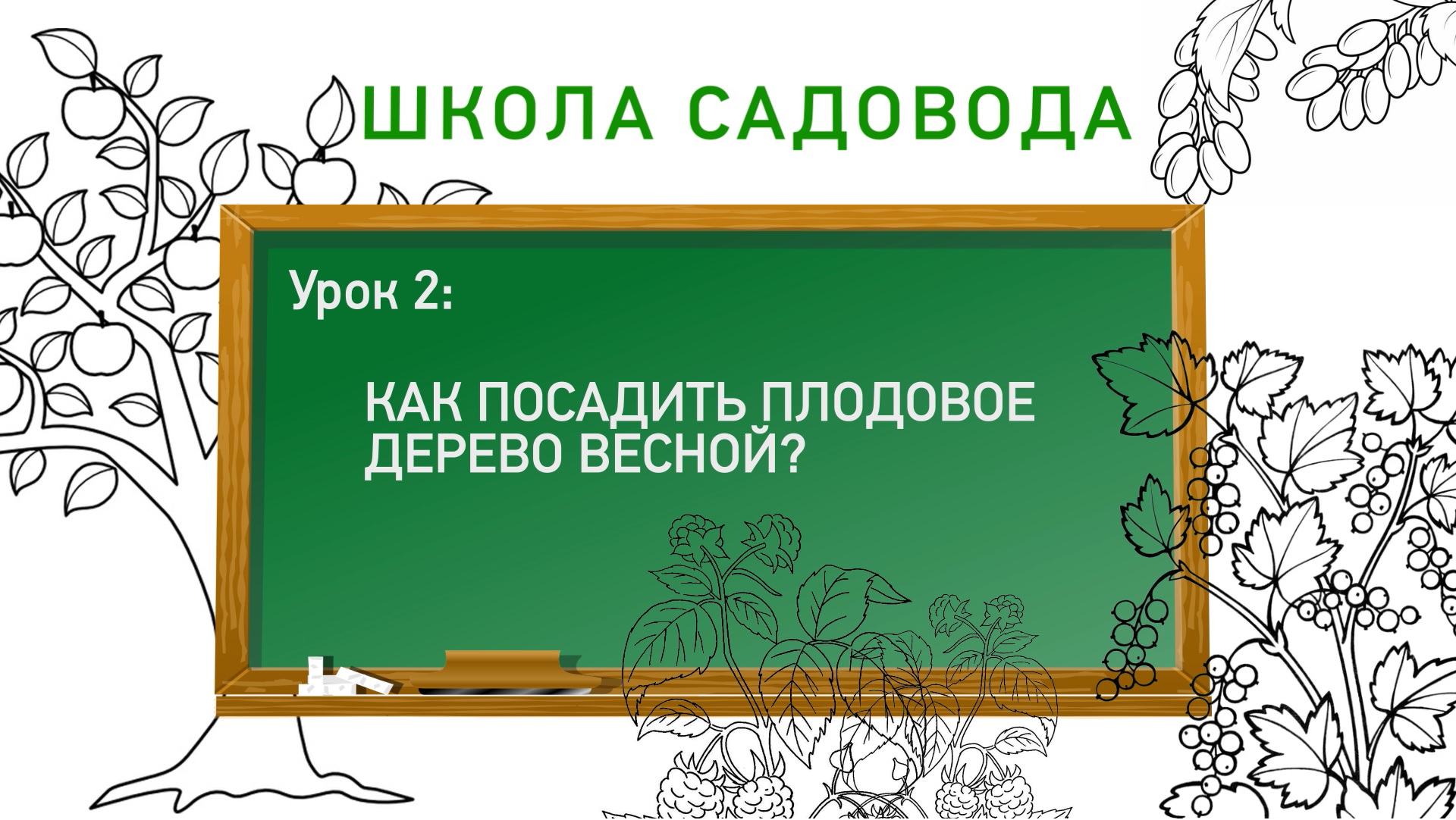 Посадка плодового саженца. Школа садовода. Урок 2