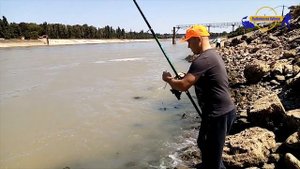 Ловля чехони на реке Кубань  Тлюстеньхабль  2019 /// Рыбалка на кубани  /// Выпуск № 8