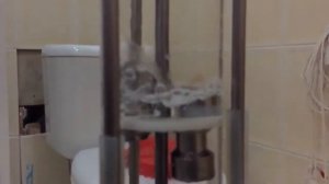 Колпачковые.