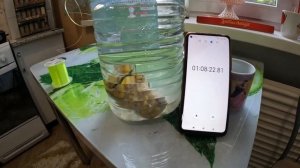 Испытание СТАКАНА для ловли КАРПА