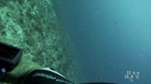 Riu Atoll - Maldives