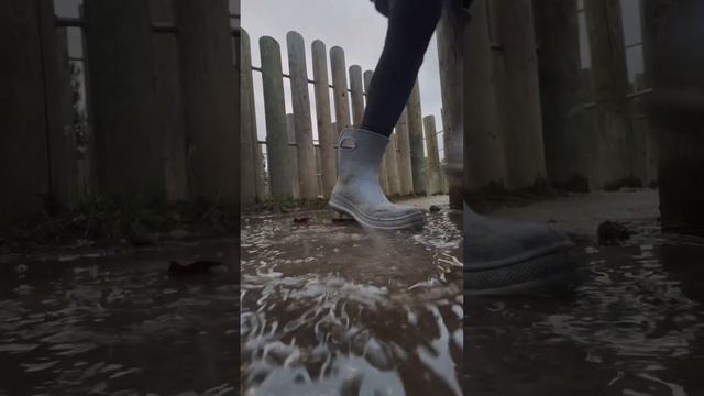 Заблудились в лабиринте в Турции #norwichterrier #vrbshki #campervan #rvlife смотреть онлайн