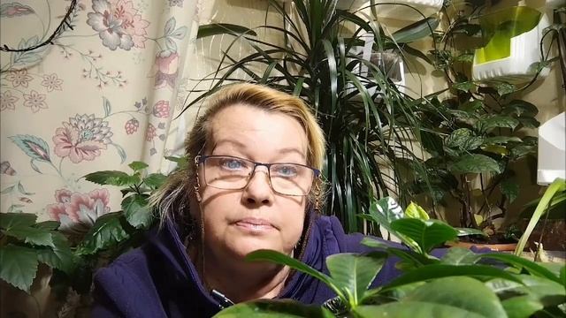Укрощение строптивой. Сказ о Гардении.