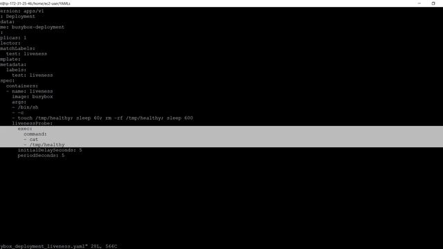 Step-by-Step LIVE Tutorial: How Create Self-Healing Applications in Kubernetes? | Whizlabs