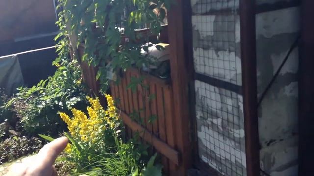 ОБЗОР МАНГАЛЬНОЙ В БЕСЕДКЕ .часть 2.