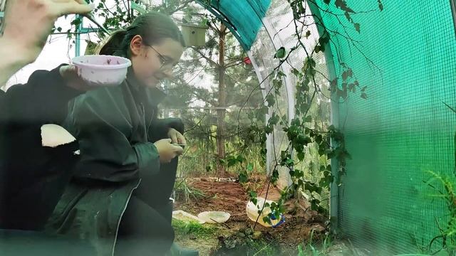 Гуся жмакают за мягонькое смотреть онлайн