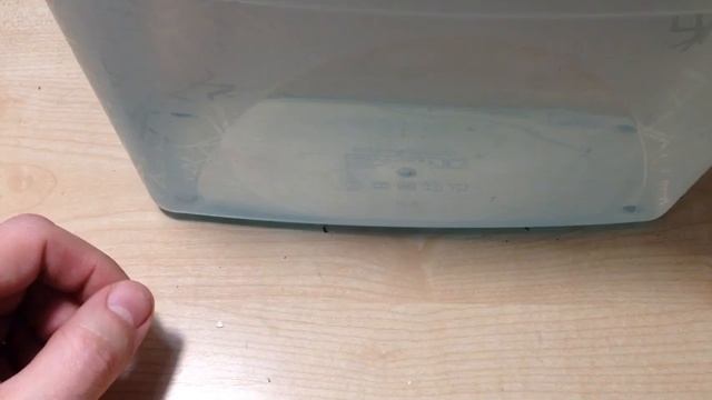 Водоросли в аквариуме.  Тест.