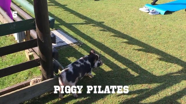 10 Strange British Pastimes смотреть онлайн