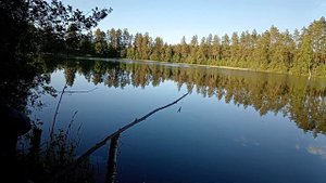 Озеро Юхор. Жерлицы с берега. Красноперка на удочку. Нам попался Птеродактель!