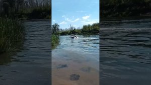 заменил винт на selva Naxos 15 - мотор перестал пробуксовывать, стал двигать быстрее и больше