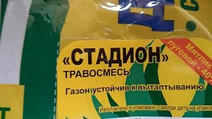Холодные выходные на даче в Подмосковье. Растение в теплице. Подставка под клематисы.