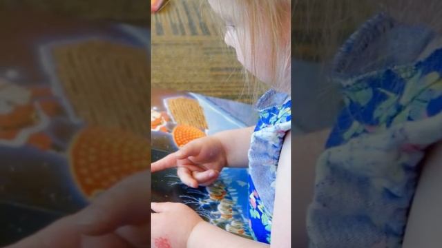 Как мотивировать ребенка на учебу смотреть онлайн