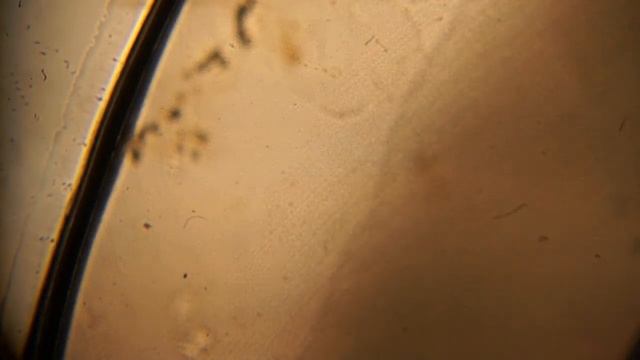 Застывающий полиэтилен. Ролик первый. смотреть онлайн