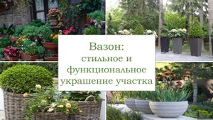 Как использовать вазоны в ландшафтном дизайне участка