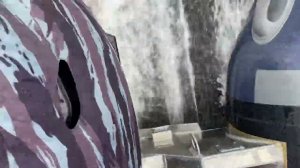 10 июля 2022 г.