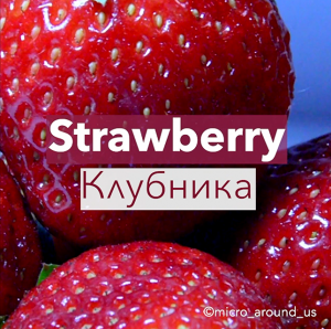 Клубника под микроскопом