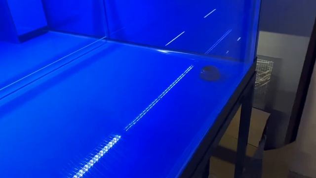 Аквариум для продажи живой рыбы в магазин для форели карпа осетра белуги сома
