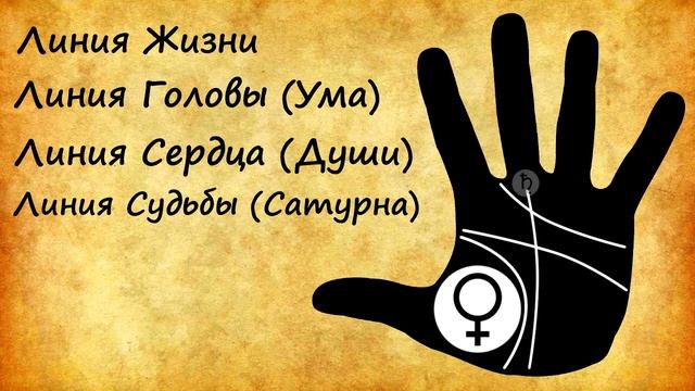 ОСНОВНЫЕ ЛИНИИ на руках / хиромантия / Кладезь Хиромантии