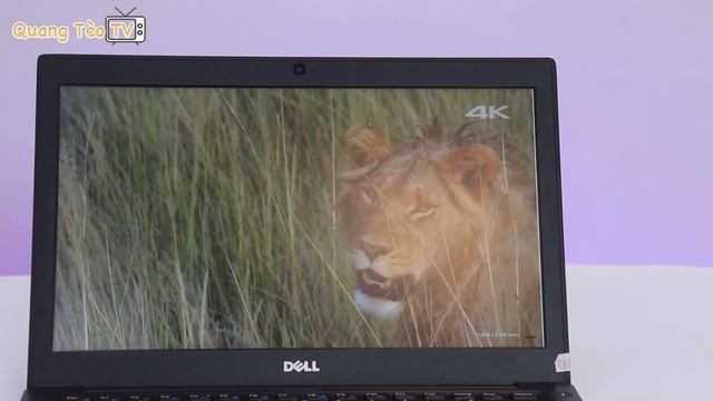 Dell Latitude 7280 | Chiếc Laptop Văn Phòng Siêu Gọn Siêu Bền смотреть онлайн