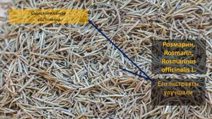 Розмарин и артрит. Помощь Розмарина при артрите.