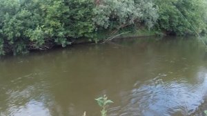 Летний рыболовный микс. Рыбалка в Башкирии