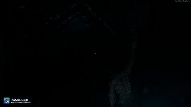 Labyrinthine (Early Access) [Online Co-op] : Co-op Campaign (Full Run)