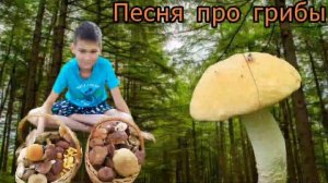 borovikTV - Песня про грибы!