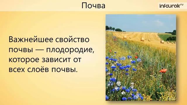 Загадки про почву. Стихи о почве. Стихотворение про почву. Стихотворение про почву для детей. Загадки о почве.