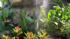 Очаровательные песни 2023! Сборник песен!