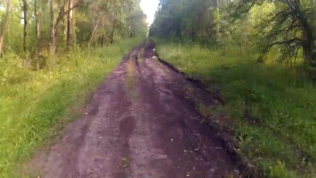 Заготовка веников для бани. Мотоприключение.