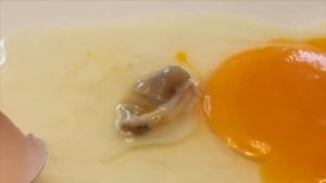 Он ВЫРАСТИЛ НАСТОЯЩЕГО ЖИВОГО ГОМУНКУЛА !!!!