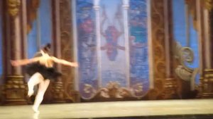 Swan Lake. Odillia 32 fouette. Ballet. Opera. Odessa. UA