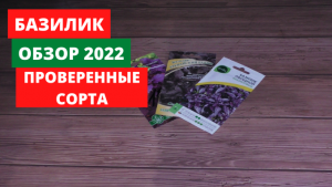 Базилик обзор 2022